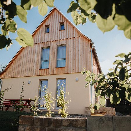 Ferienhaus Am Hoernchen Glashutte  Екстериор снимка